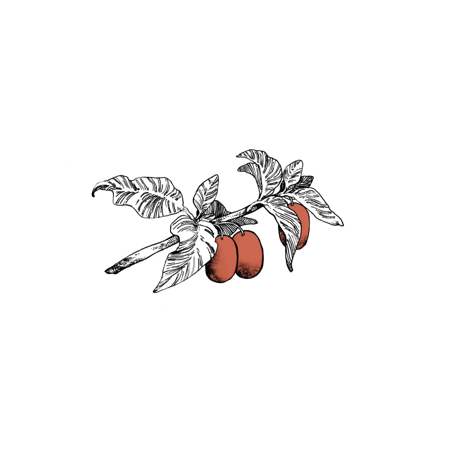 アカウントを作成しました。