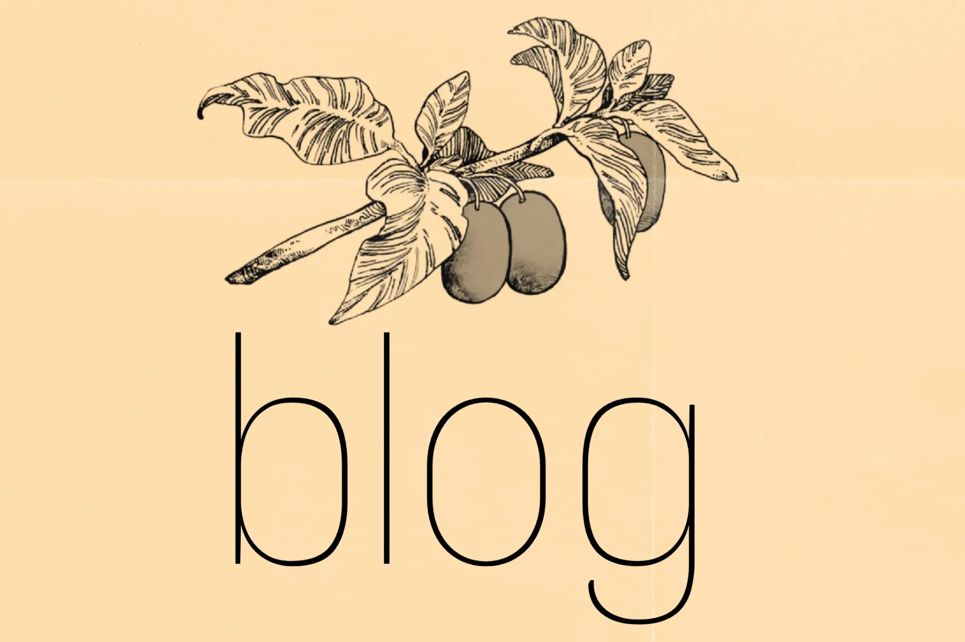 遂にOPEN!「gumi」のこと