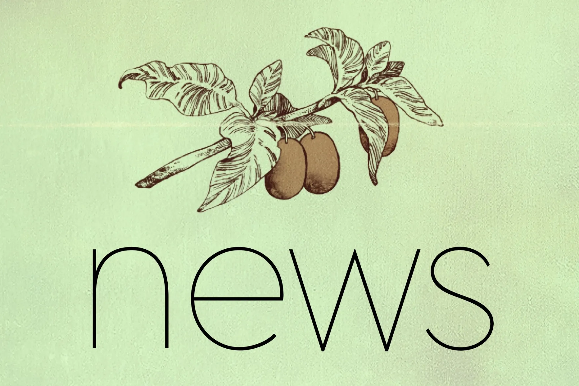 ハーフアニバーサリー記念のお知らせ(メニュー一部変更のお知らせ)